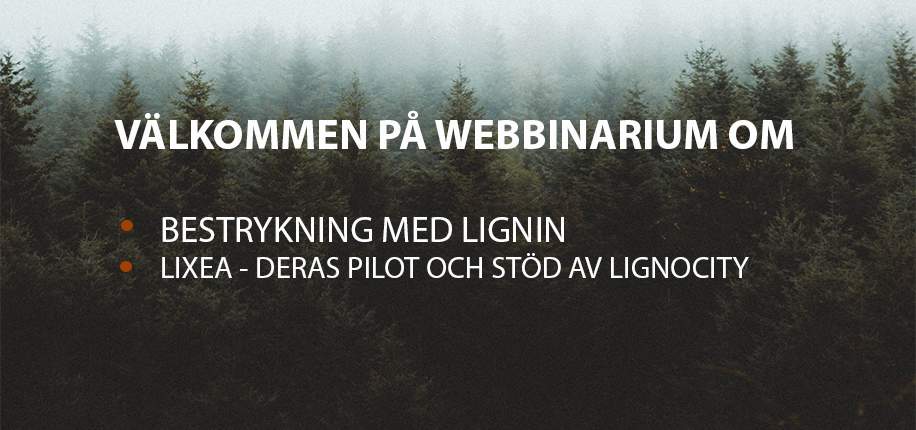 Lignin i bestrykning och Lixeas pilotanläggning hos LignoCity